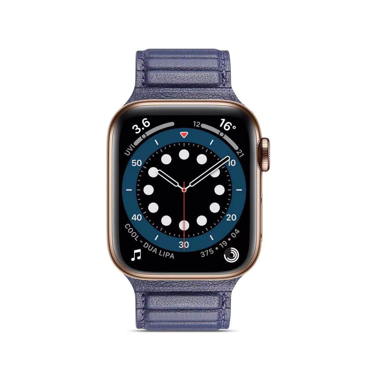 Apple Watch Leather Magnetic Loop Strap