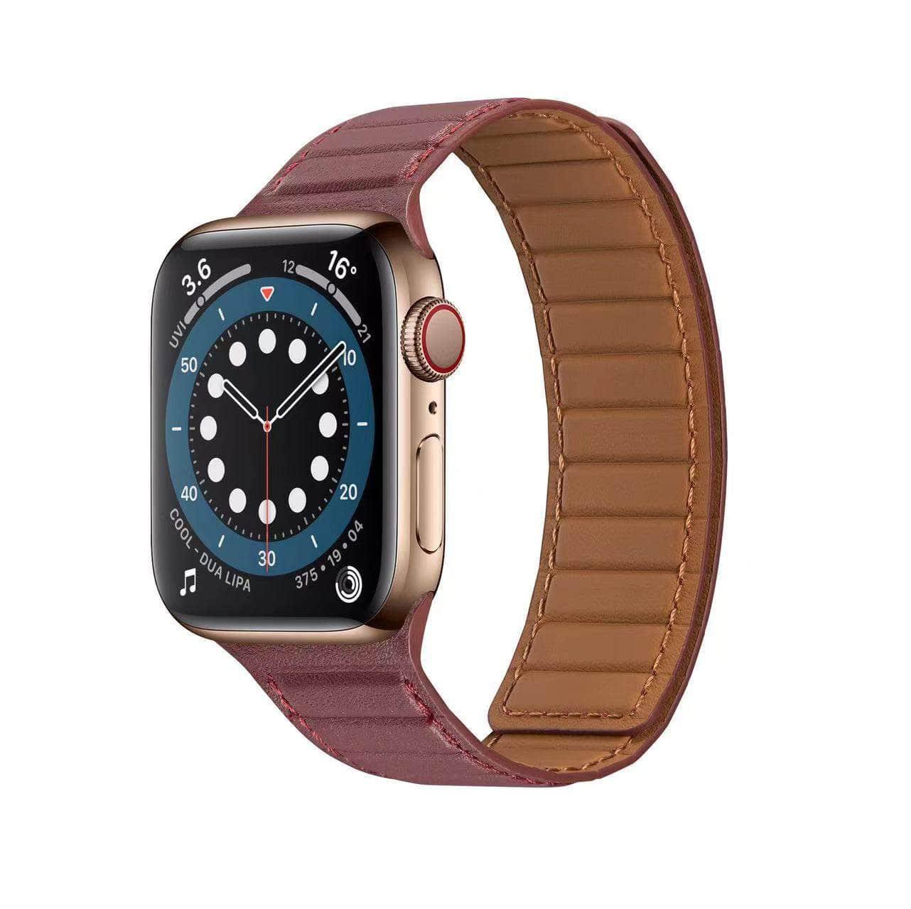 Apple Watch Leather Magnetic Loop Strap